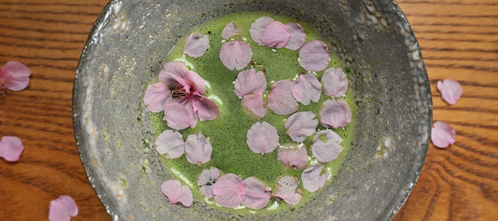 桜花と唐津茶碗