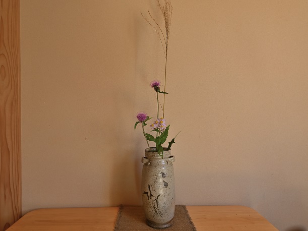 ムシトリナデシコの蜂