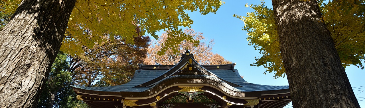 神社のイチョウ