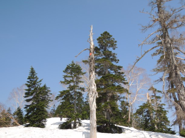 早春の会津 三岩岳