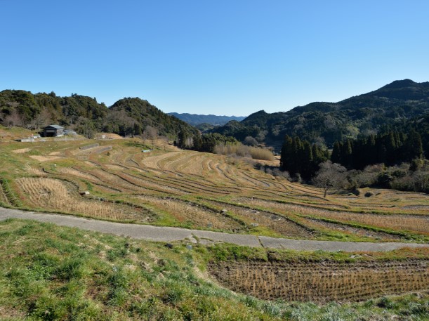 南房総 長狭米の棚田