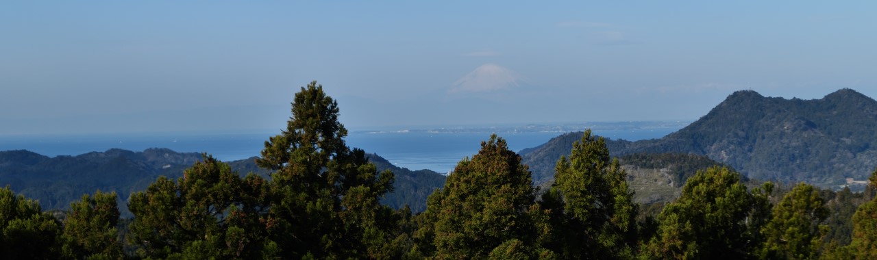 南房総 大日山