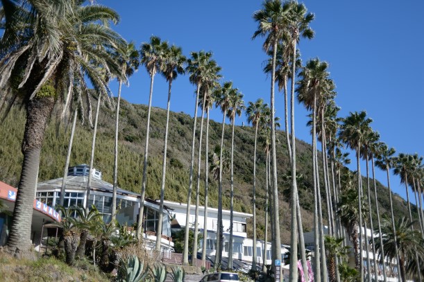 南房総ジャングルパレス