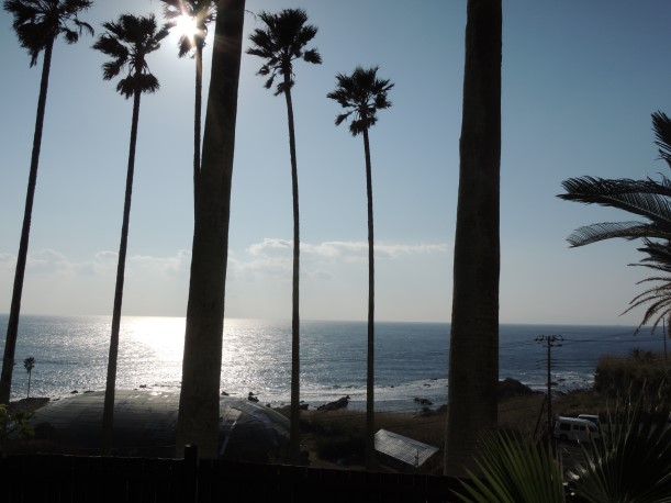 露天風呂からの景色