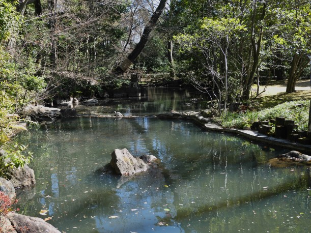 根津美術館の庭園