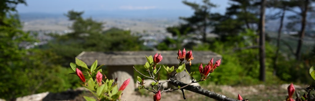 向羽黒山城の本丸にて