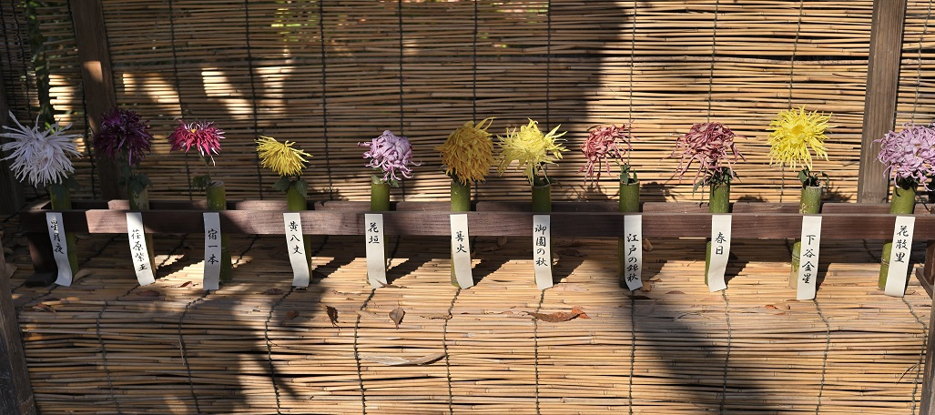 向島百花園にて