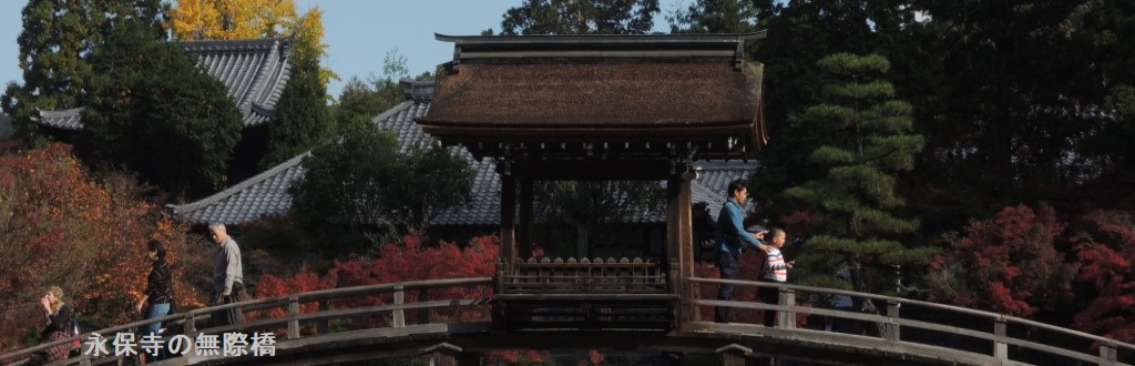 永保寺の無際橋