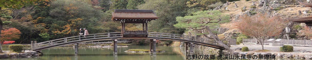 志野ページのトップ画像